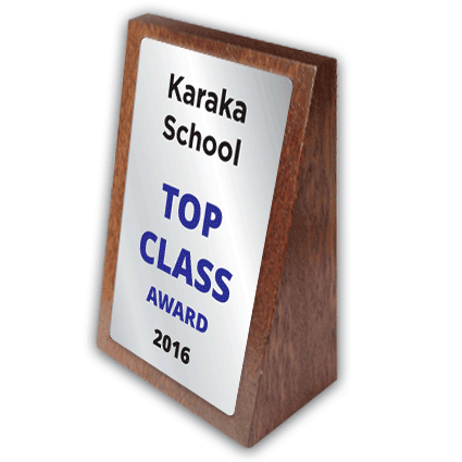 mini school trophy award